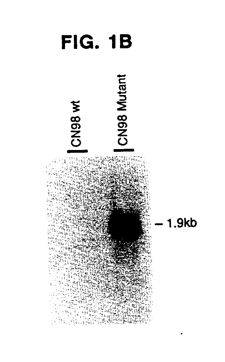 Medthods for improving long-term memory storage and retrieval