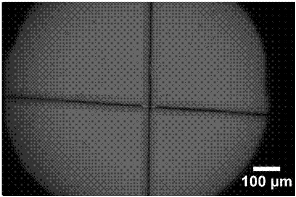 Self-healing polymer material and preparation method thereof