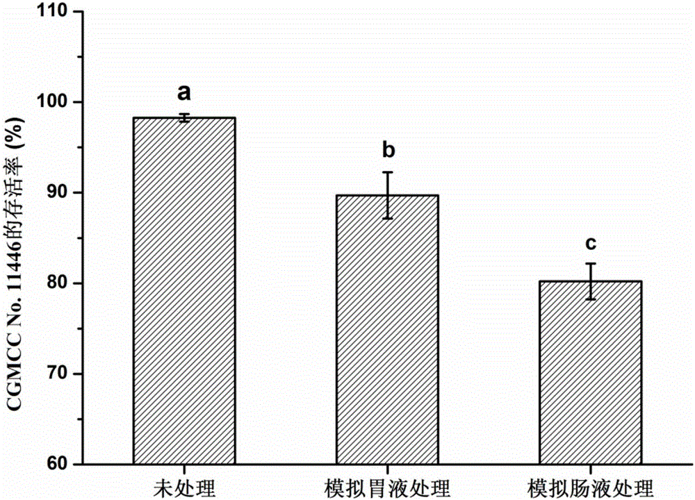 Lactobacillus plantarum resistant to enteritis salmonella infection and application thereof