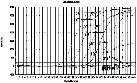 Triple real-time fluorescent PCR method and kit for simultaneous detection of three streptococci