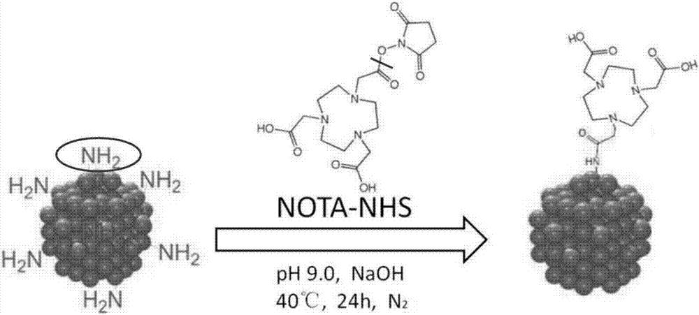 PET/MRI bimodal photographic developer SPIO-NOTA-68Ga, and preparation method and application thereof