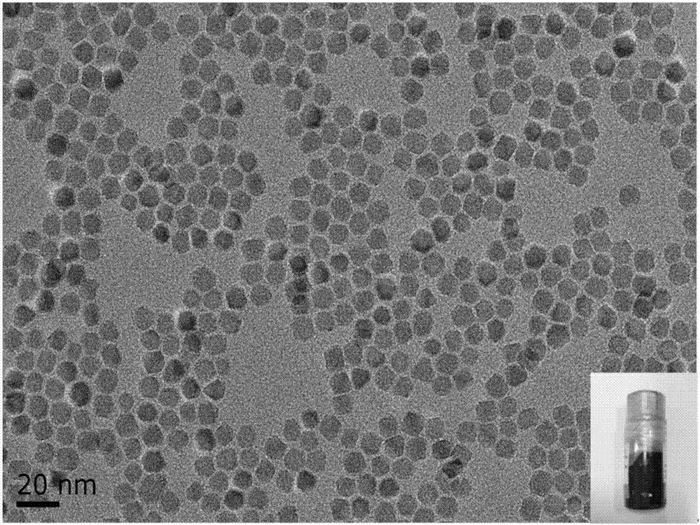 PET/MRI bimodal photographic developer SPIO-NOTA-68Ga, and preparation method and application thereof