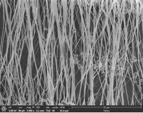 Efficient antibacterial polytetrafluoroethylene microporous membrane and preparation method thereof