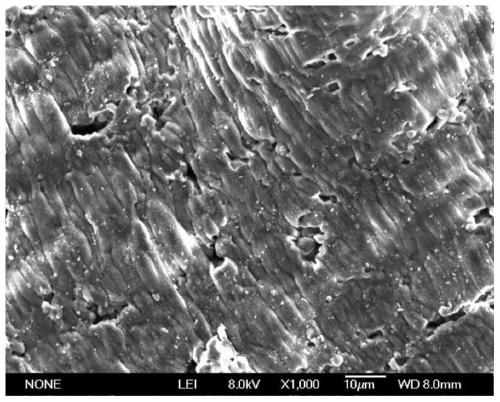 A preparation method of shape memory polymer material based on thermoplastic vulcanizate