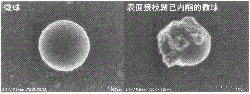 Polyphosphazene microsphere-based phenolic resin molding plastic additive and preparation method thereof