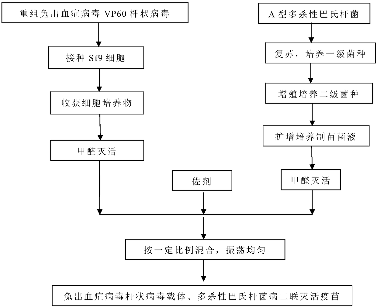 Rabbit hemorrhagic disease virus baculovirus vector and pasteurella multocida bivalent inactivated vaccine and preparation method thereof