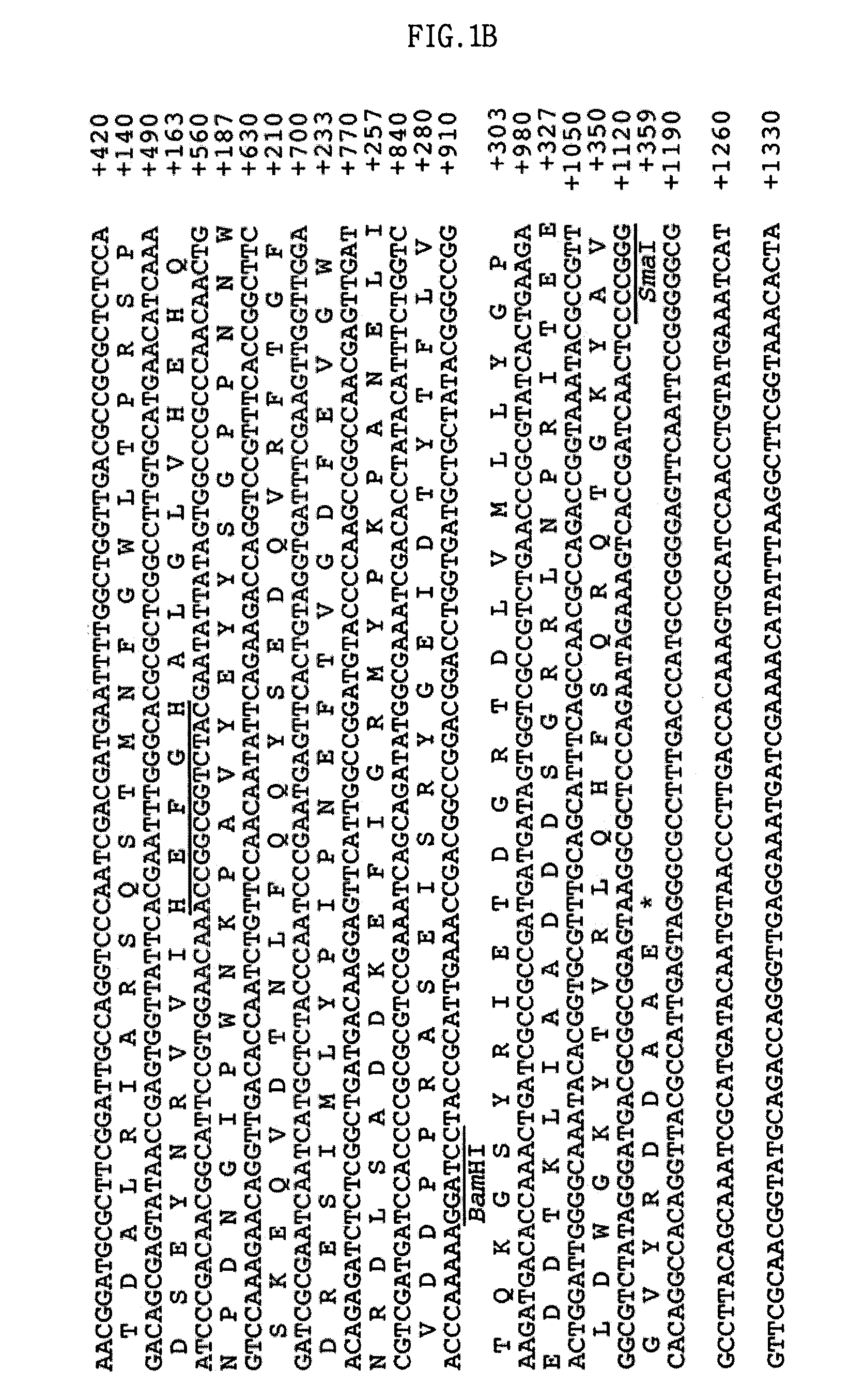 Fibrinolytic metalloprotease and composition comprising the same