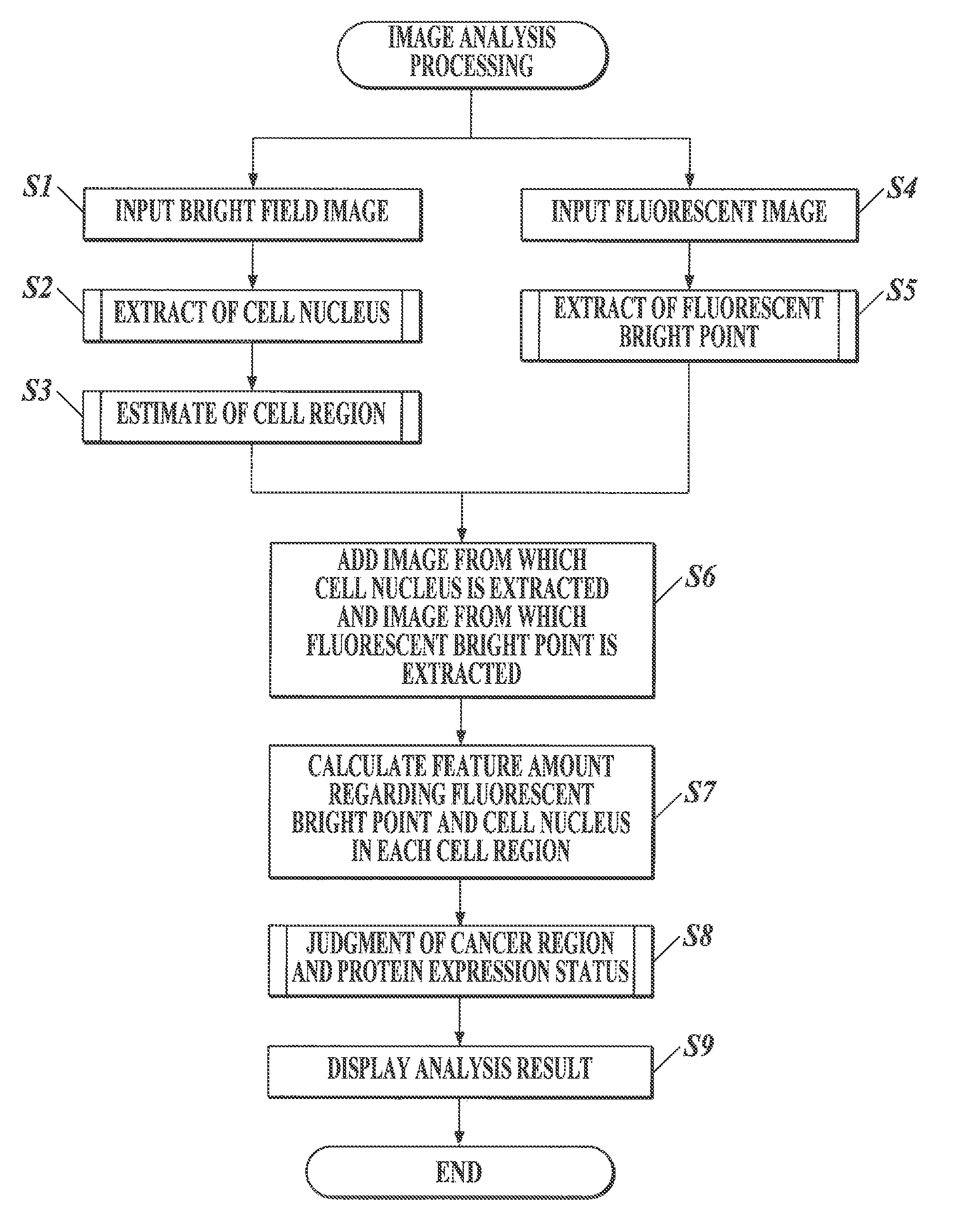 Medical image processor and storage medium