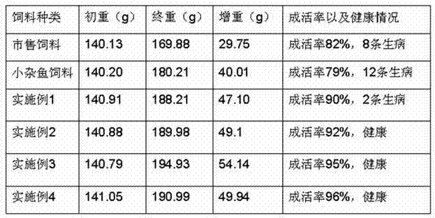 Paralichthys olivaceus formula feed