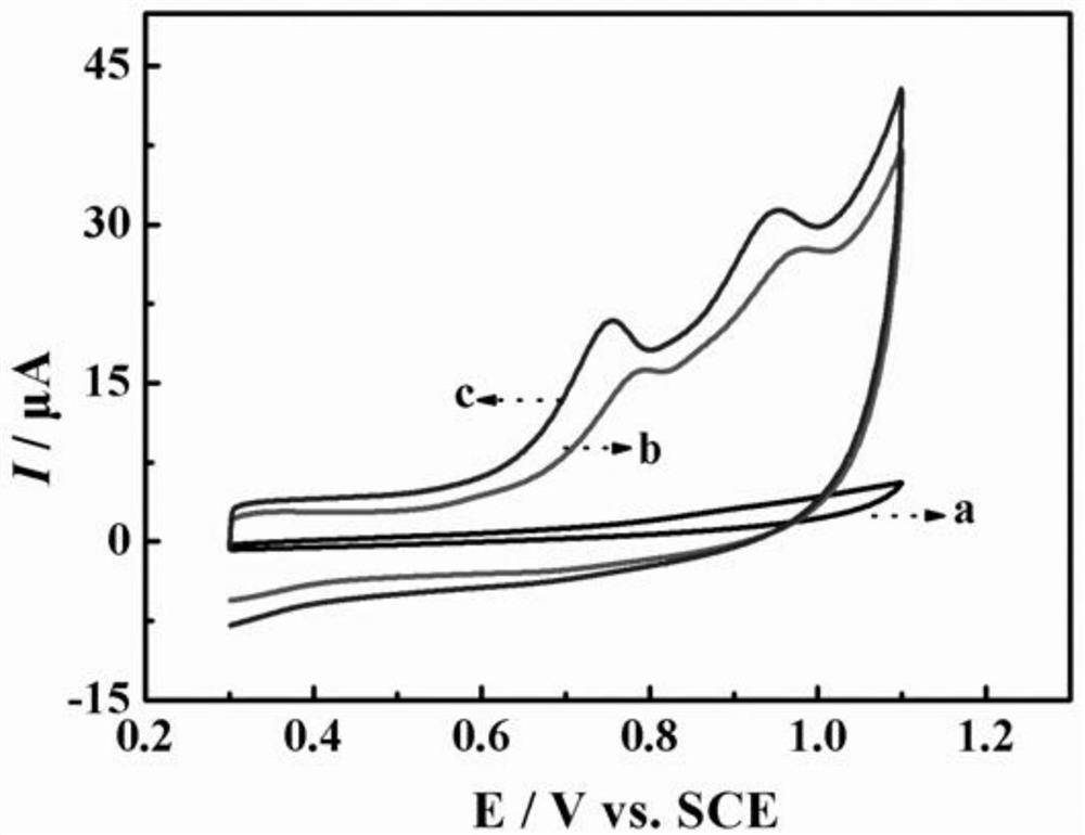 Electrochemical sensor for measuring tetracycline as well as preparation method and application of electrochemical sensor