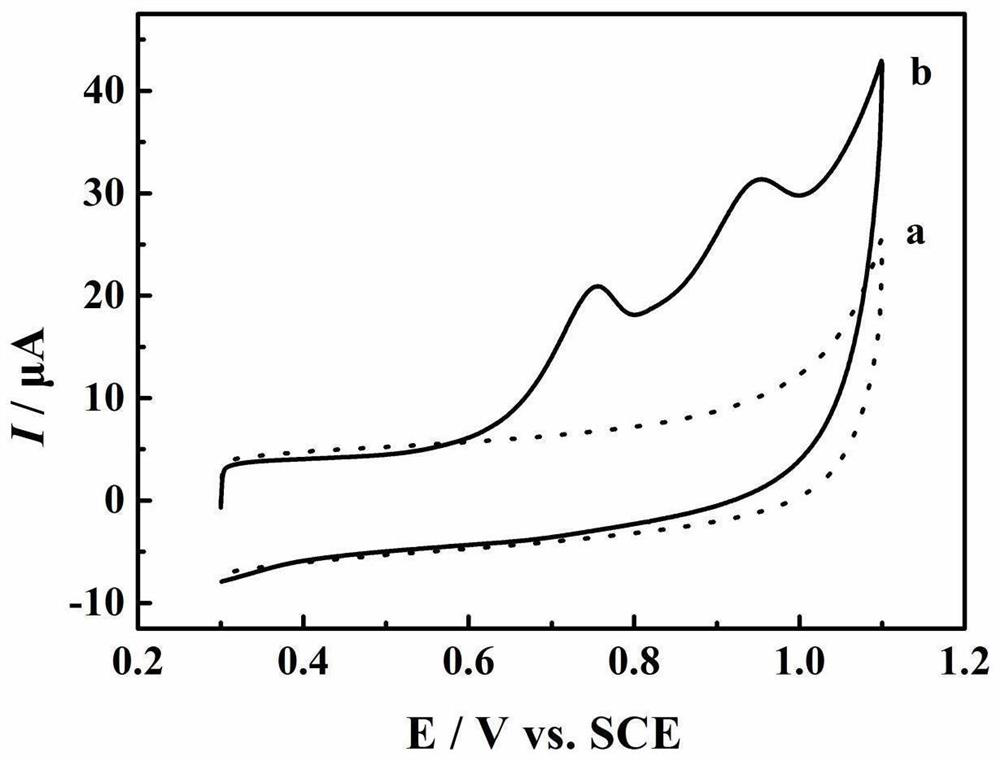 Electrochemical sensor for measuring tetracycline as well as preparation method and application of electrochemical sensor