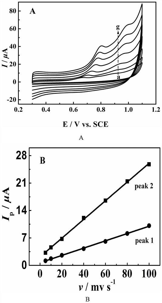 Electrochemical sensor for measuring tetracycline as well as preparation method and application of electrochemical sensor