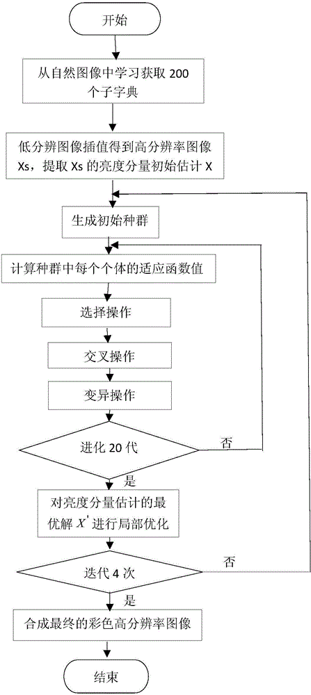 Image super-resolution reconstruction method based on genetic algorithm and regular prior model