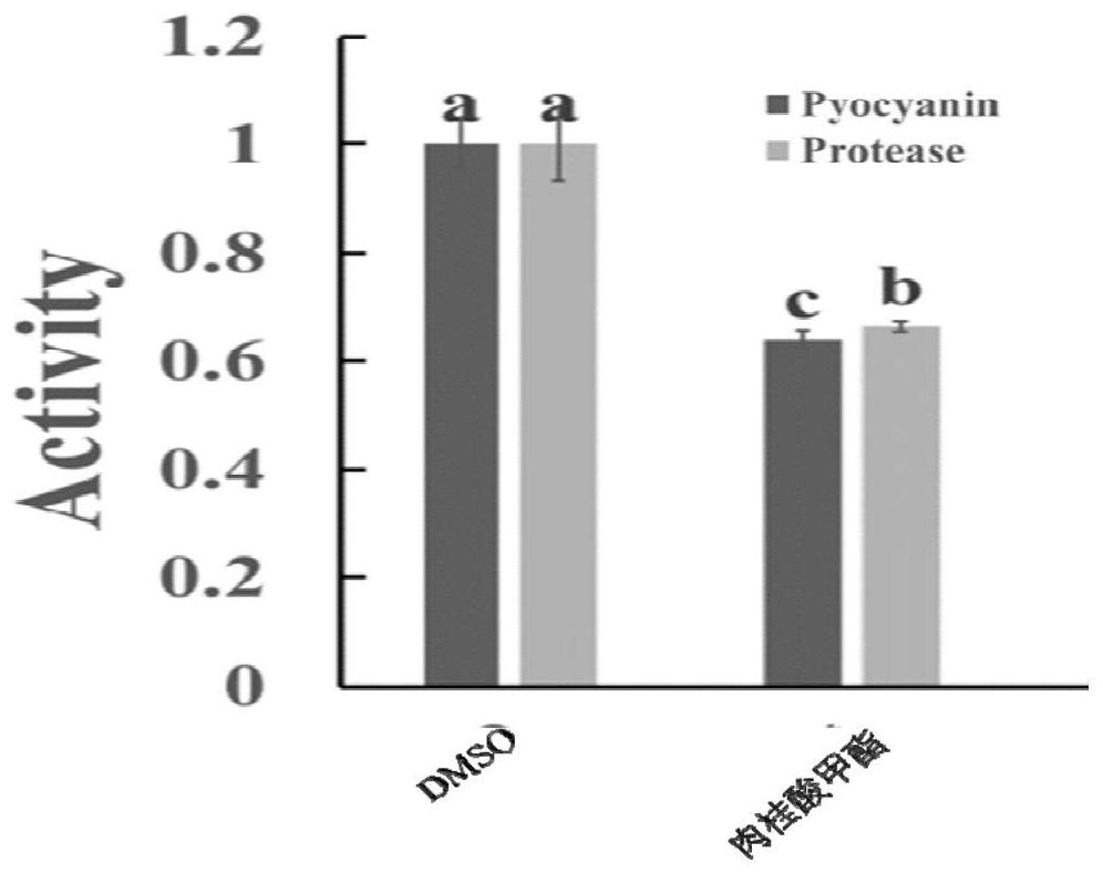 Methyl cinnamate is used as quorum sensing inhibitor and application of methyl cinnamate in treatment of bacterial diseases