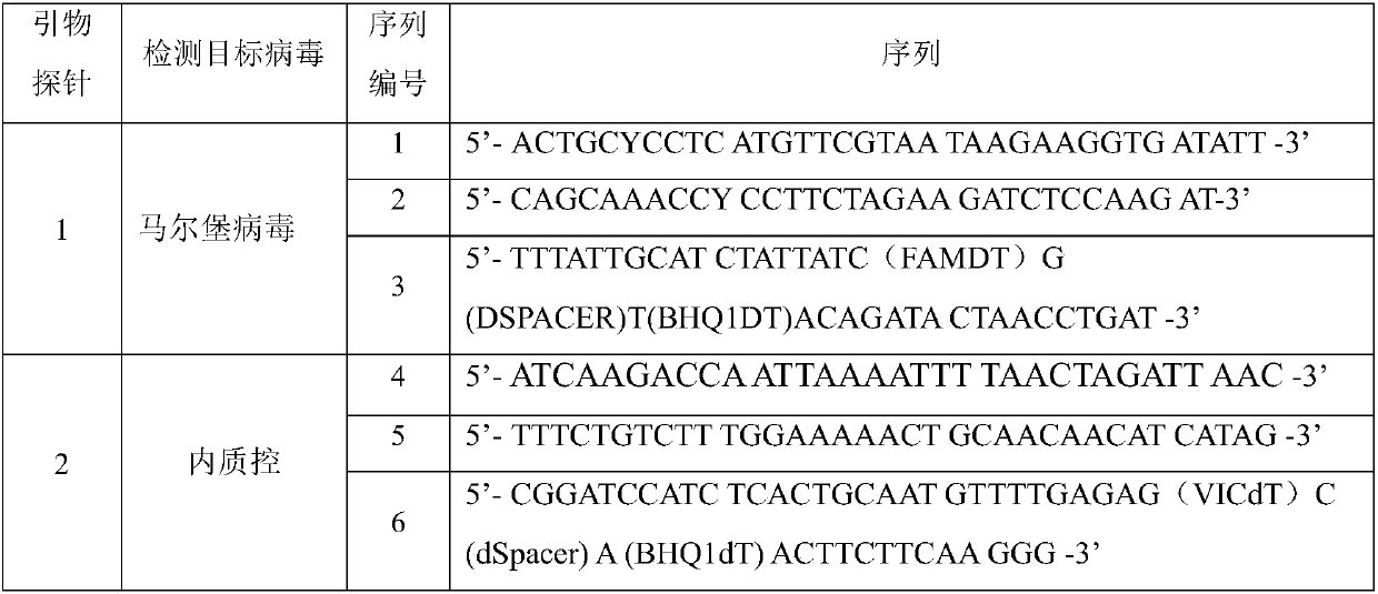 Marburg virus detection primer, probe and kit