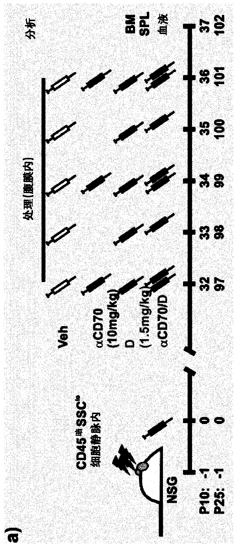 Use of anti cd70 antibody argx-110 to treat acute myeloid leukaemia