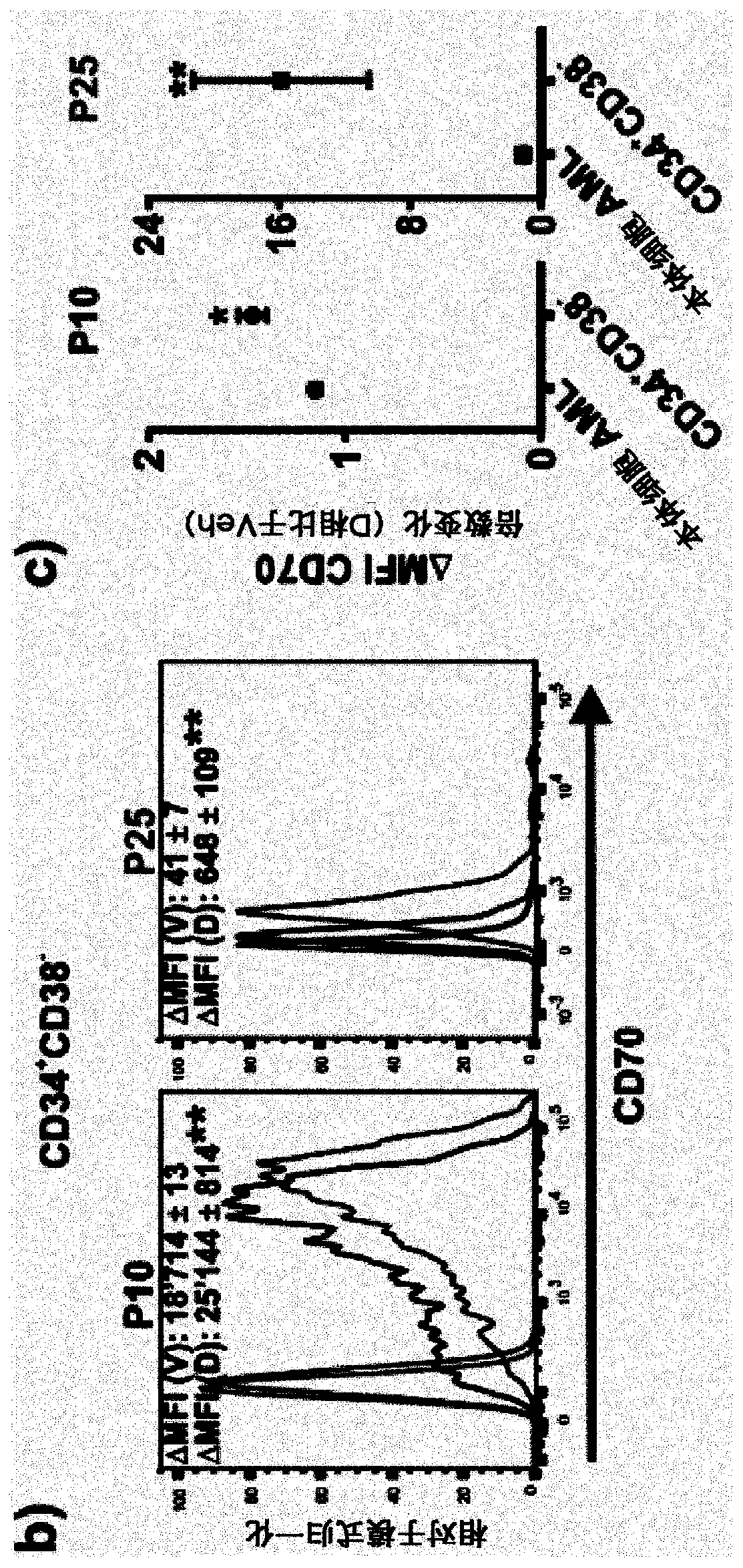 Use of anti cd70 antibody argx-110 to treat acute myeloid leukaemia