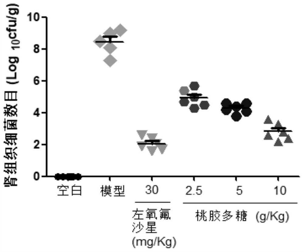 Use of peach gum polysaccharide in preparing medicine for treating or preventing nephritis and pharmaceutical composition