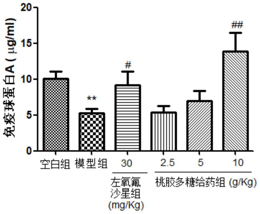 Use of peach gum polysaccharide in preparing medicine for treating or preventing nephritis and pharmaceutical composition