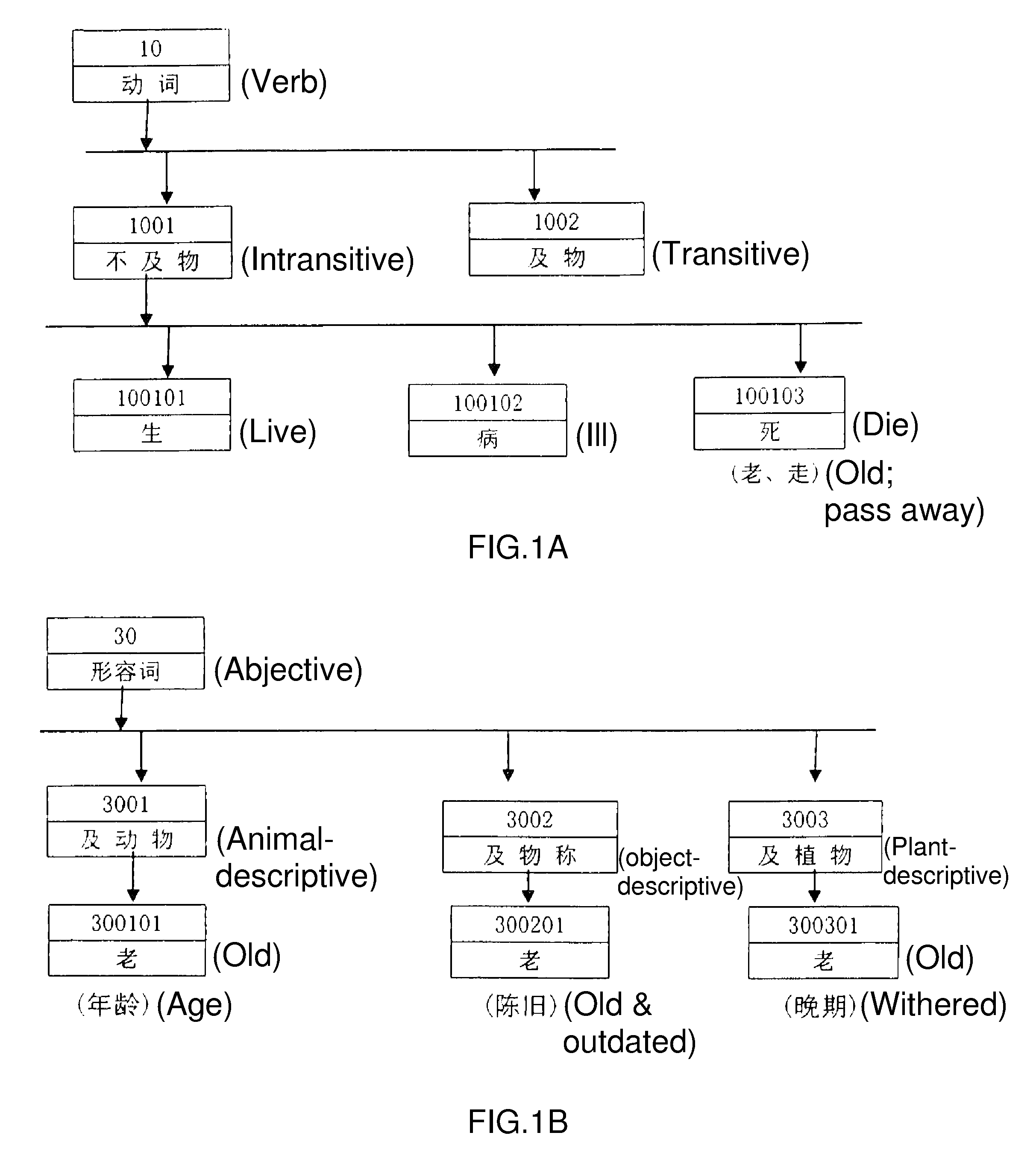 General digital semantic database for mechanical language translation