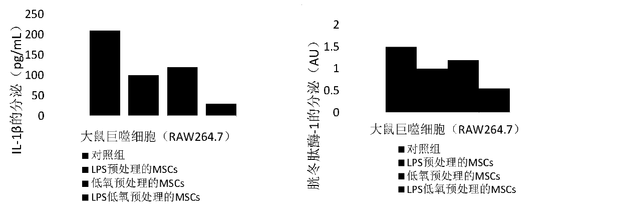 Preparation method and application of a kind of anti-chronic inflammation mesenchymal stem cells