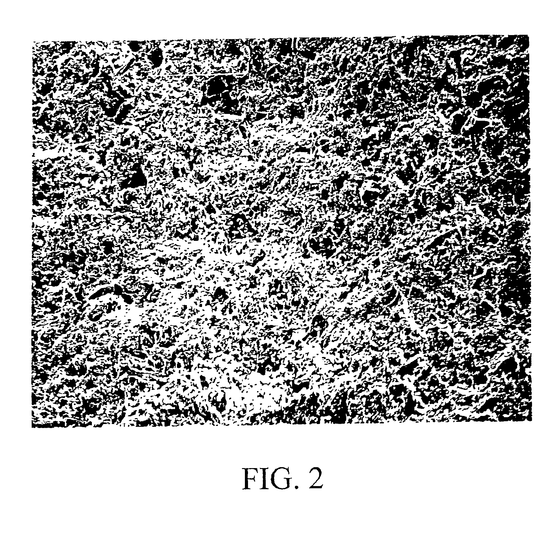 Animal litter and methods of fabricating same