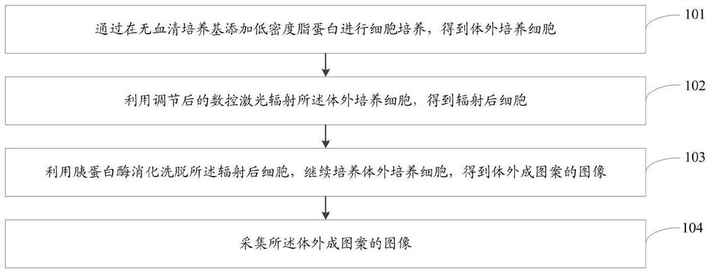 Non-invasive cell patterning method and system based on digitally controlled laser radiation