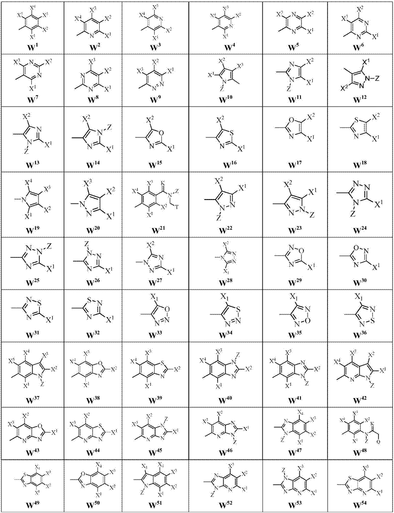 Malononitrile oxime ether compound and use thereof