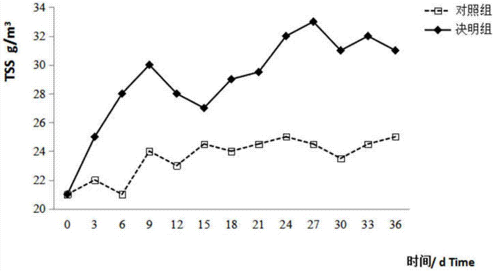 Method of applying rich water to reduce disease for mandarin fish aquaculture pond using herb cassia tora