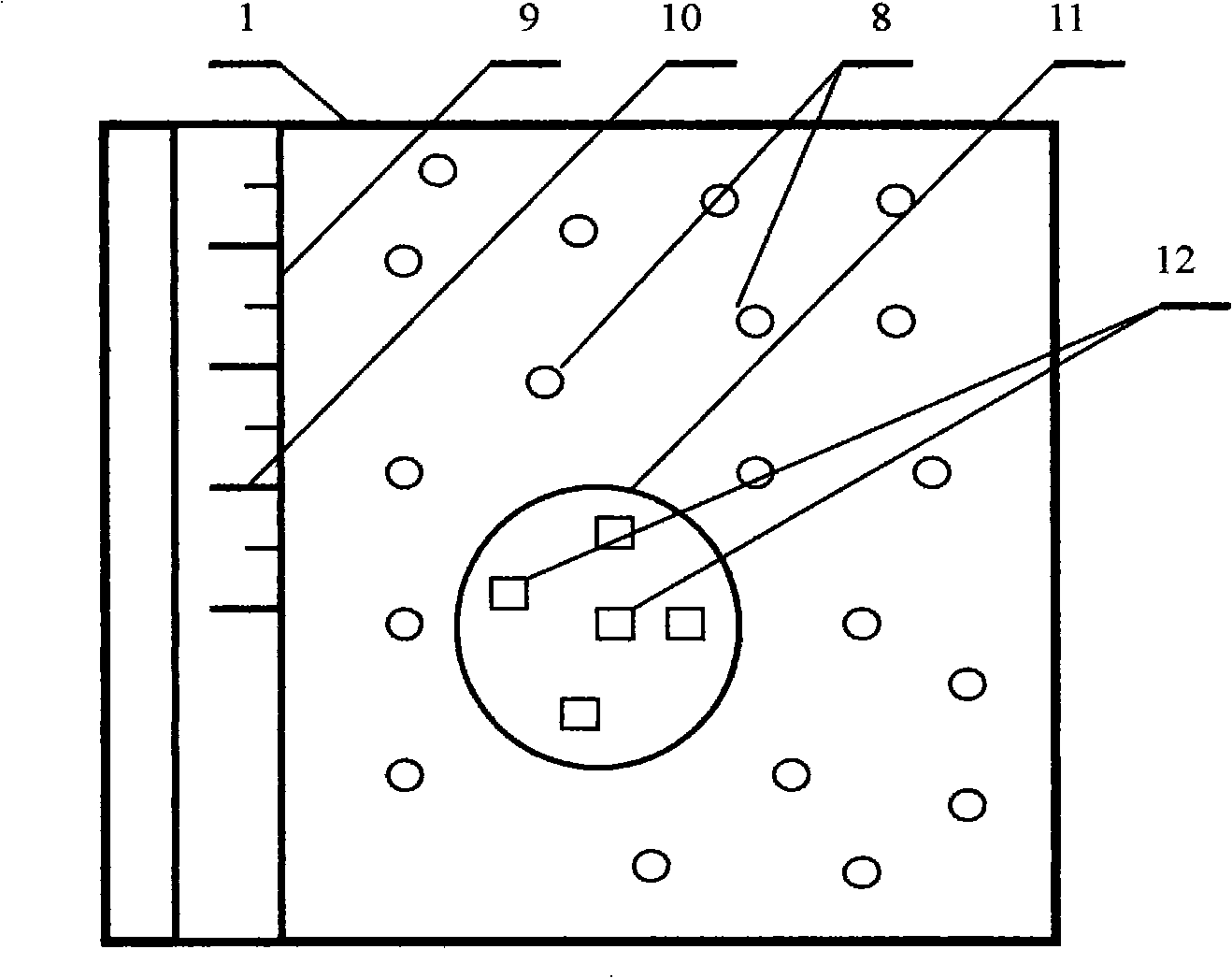 Demonstration apparatus for measuring weight self-change