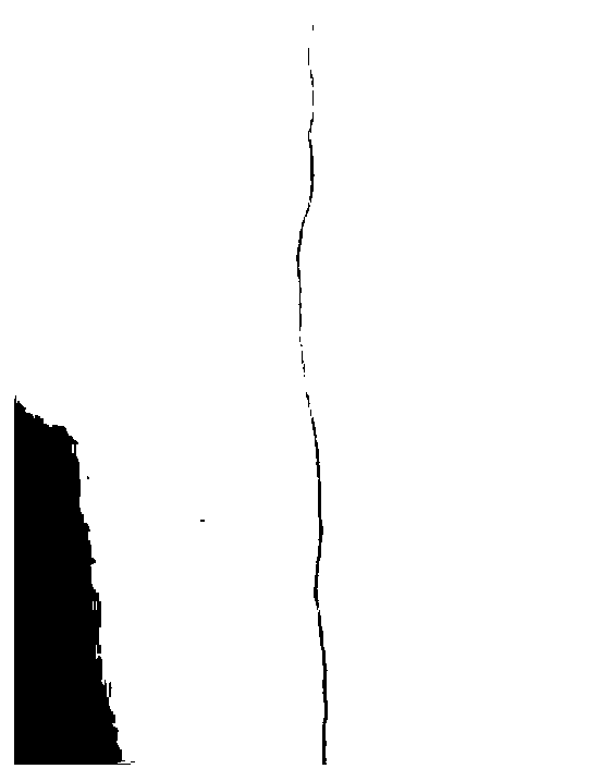 Preparation method of graphene primary coated copper wire