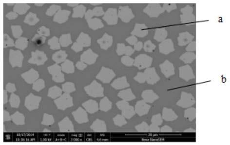 Preparation method of graphene primary coated copper wire