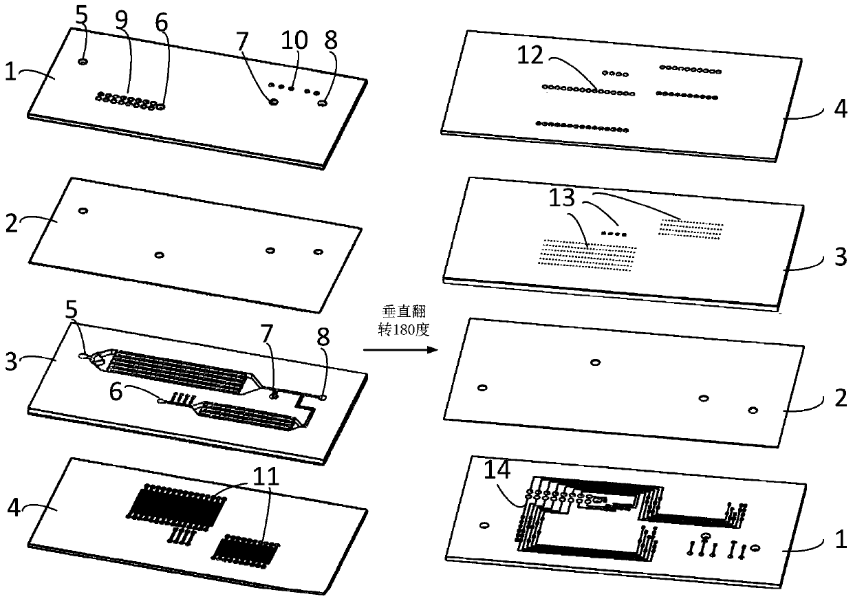 Micro-fluidic chip applied to capture and screening of single cells, and application thereof