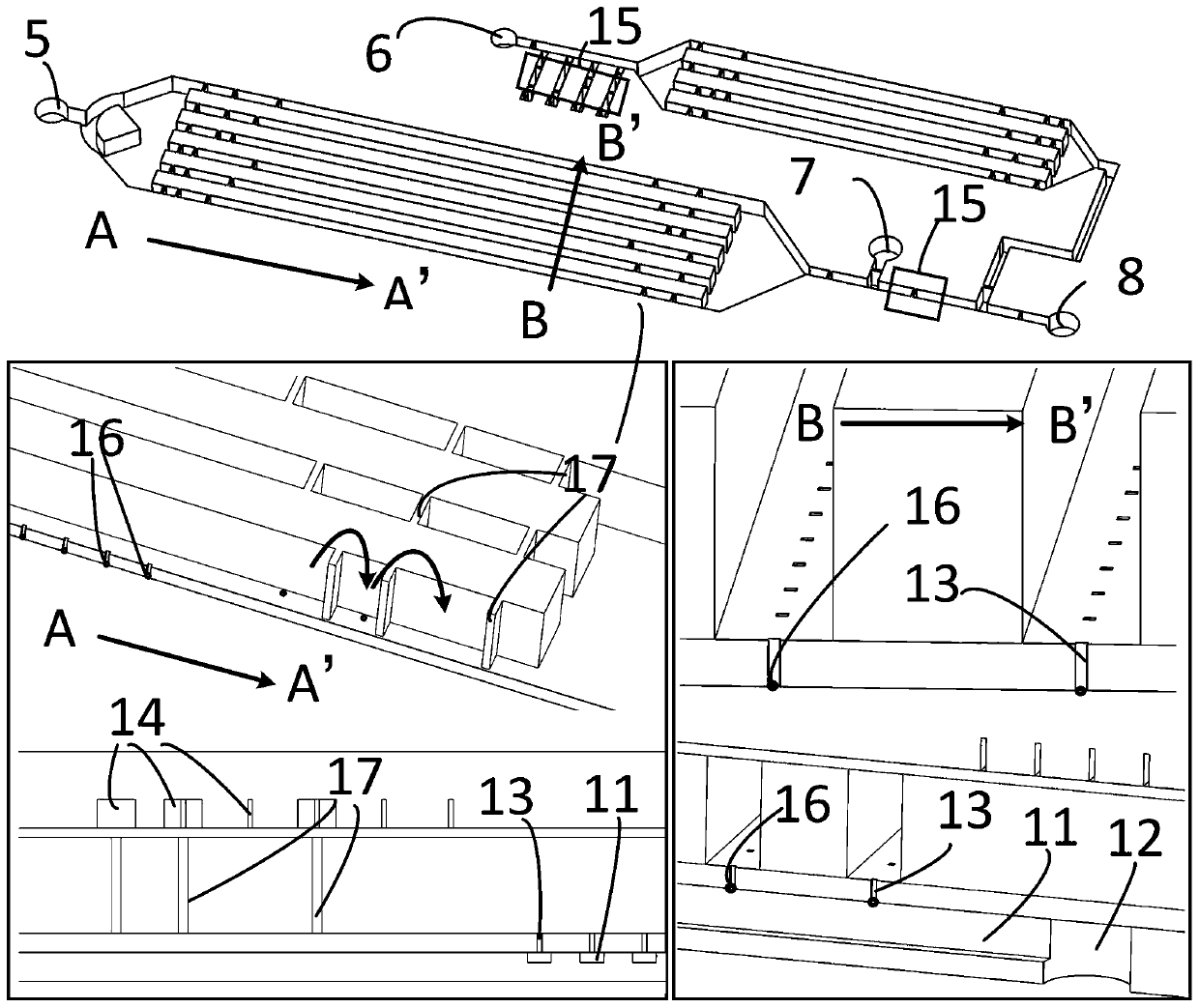 Micro-fluidic chip applied to capture and screening of single cells, and application thereof