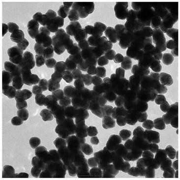 Gold and silver hybrid nanoparticles as well as preparation method and application thereof