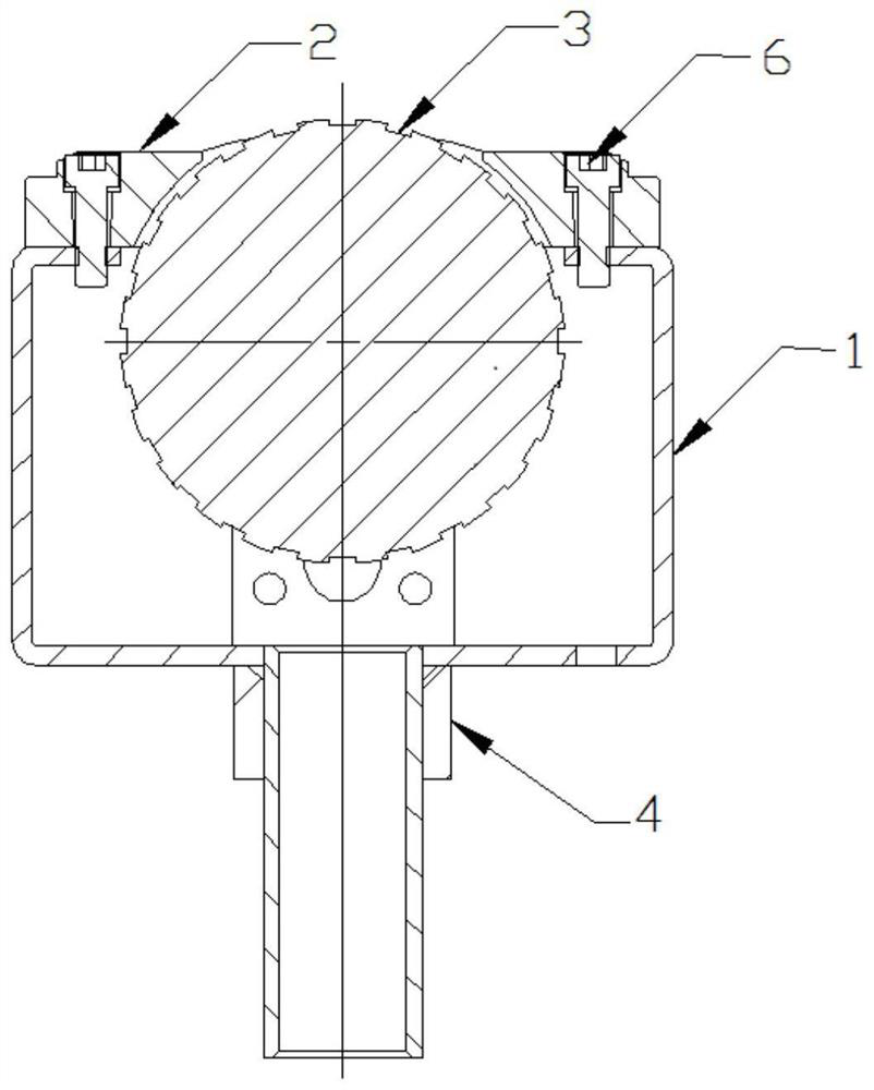 Balance wheel unit of balance wheel type sorting device