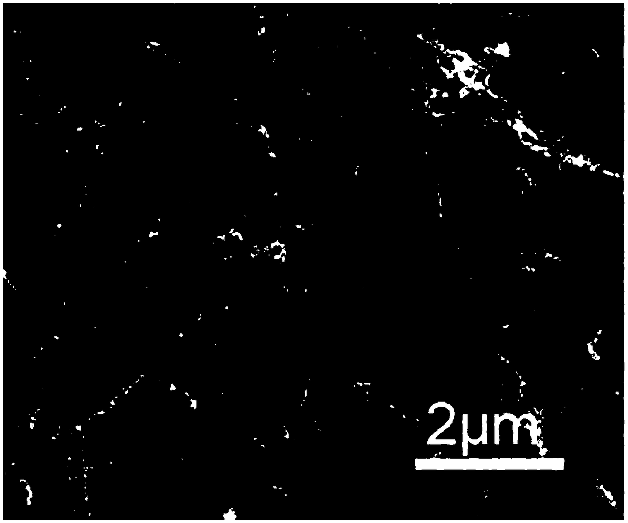 Wood biochar material capable of adsorbing heavy metals and preparation method thereof