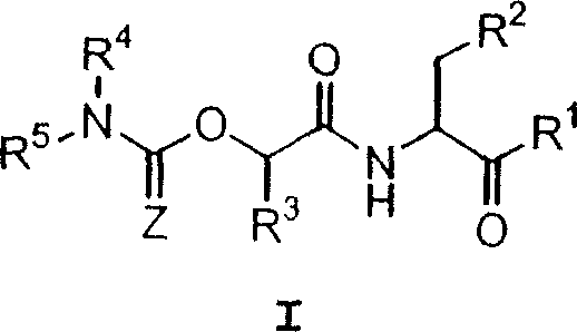 Carbamate aspartic acid specific cysteine proteinase inhibitors and uses thereof