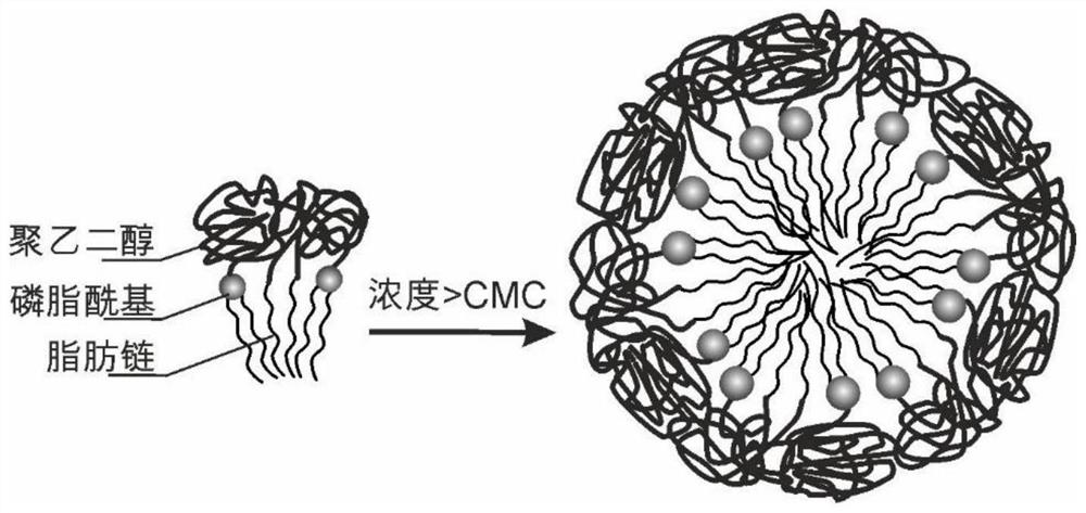 Application of micelles formed by polyethylene glycol derivatives in paclitaxel or derivatives thereof