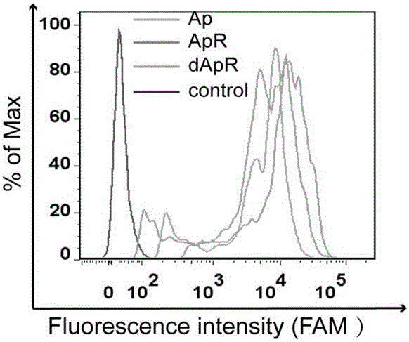 Nano di-cyclic aptamer probe and application thereof