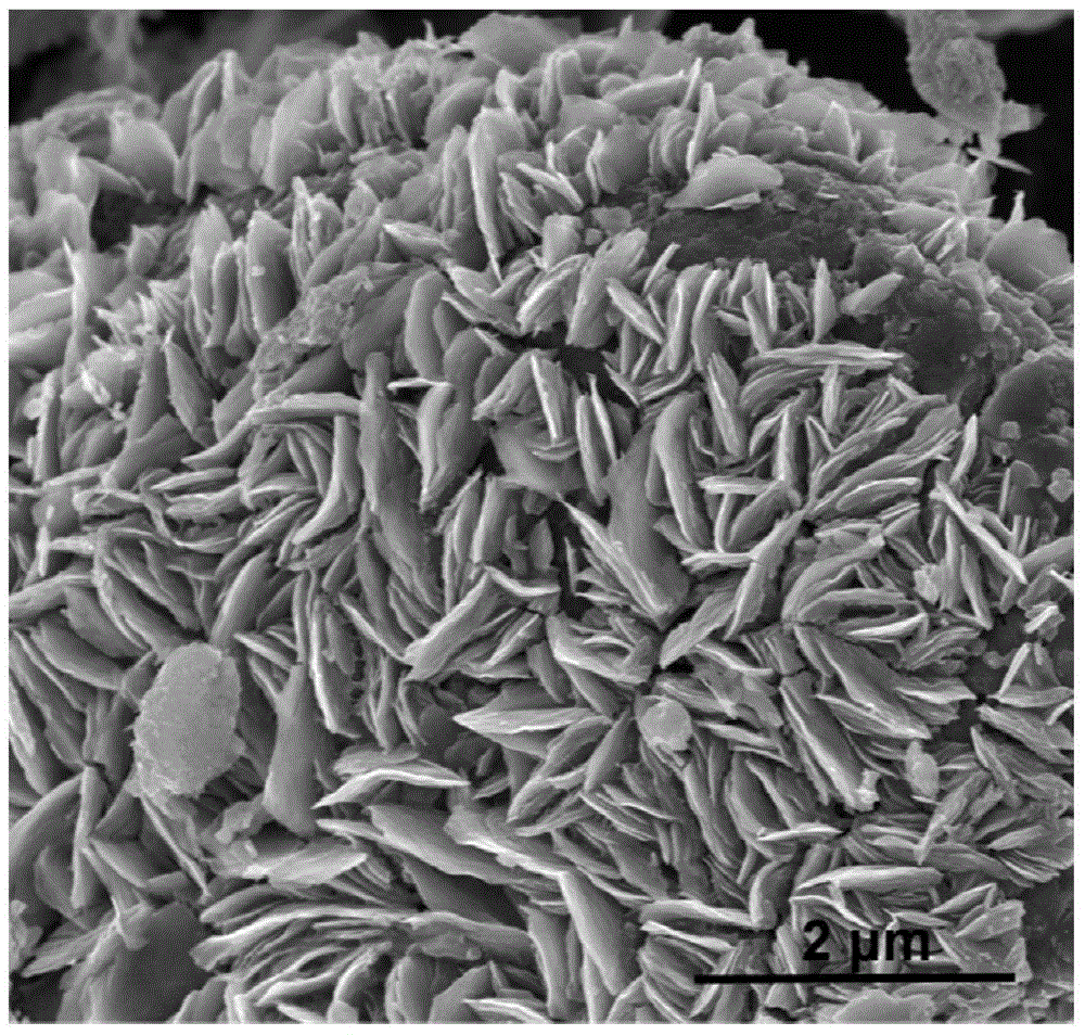 Titanium disulfide nano sheet/graphene composite material counter electrode and preparation method thereof