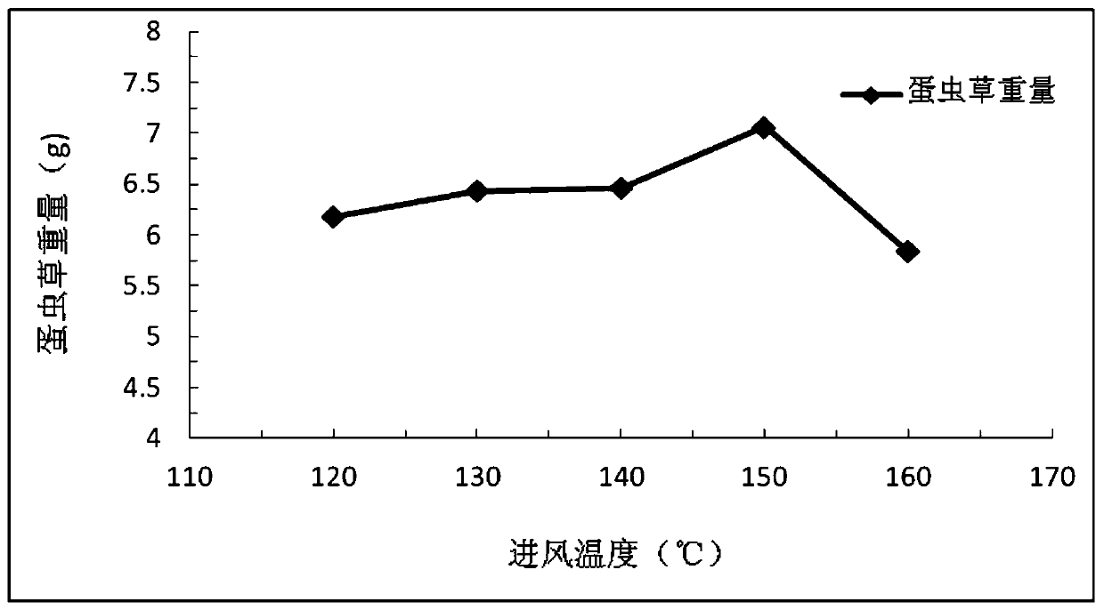 Method for culturing and preparing cordyceps militaris in egg