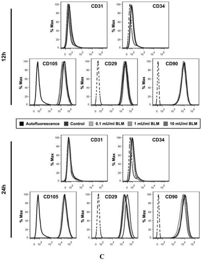 Application of bleomycin in the preparation of drugs for inhibiting tooth eruption