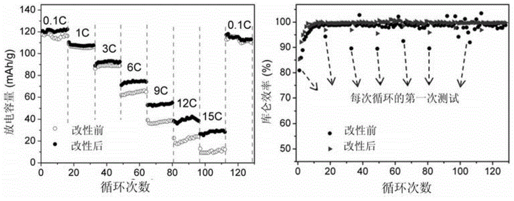 Surface Modification Method of Hydrophobic Polymer Microporous Membrane