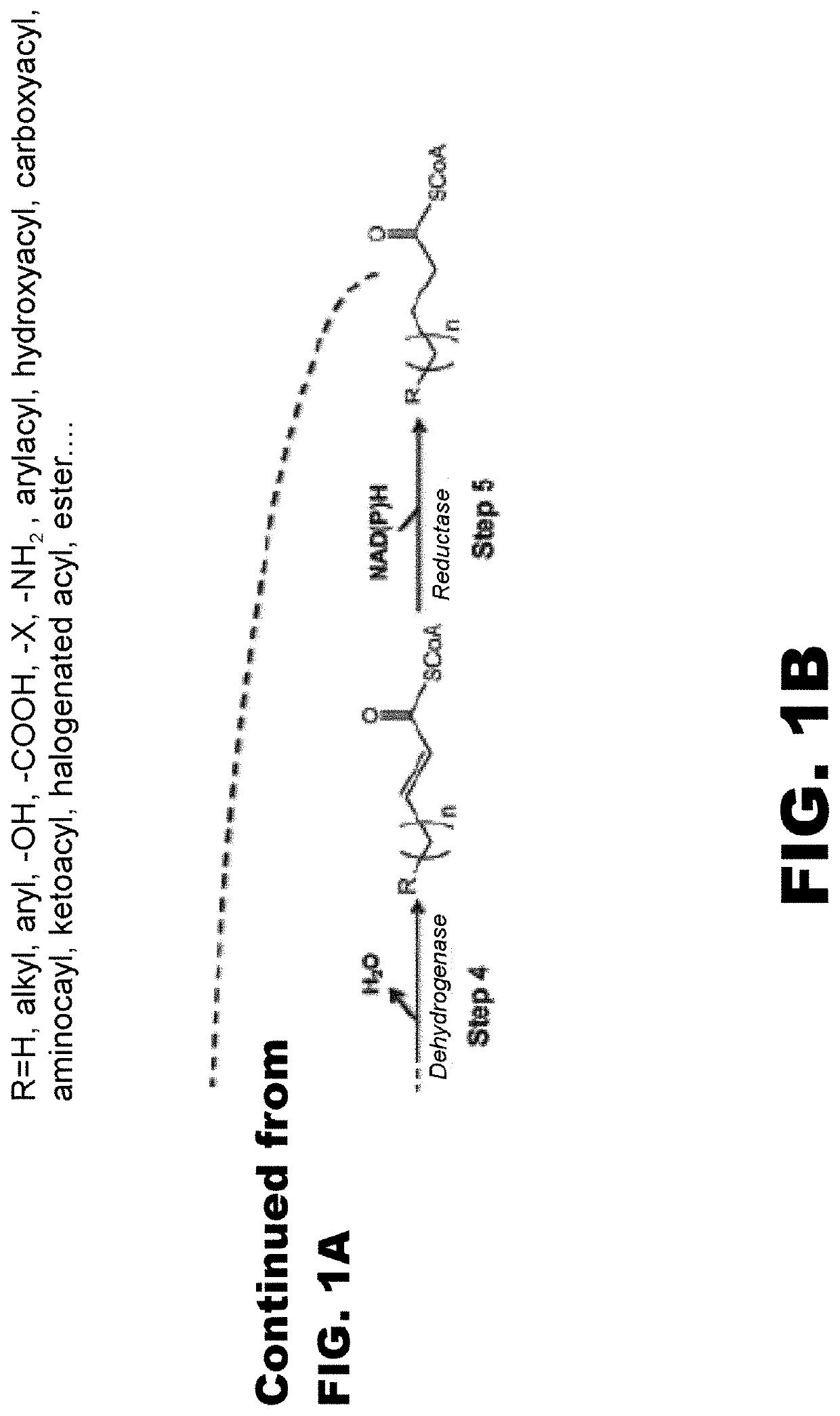 Synthesis of omega functionalized products