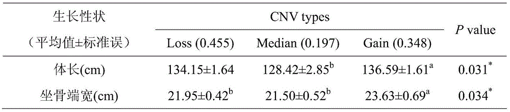 Method of detecting copy number variation of Qinchuan cattle FGF13 genes and application thereof