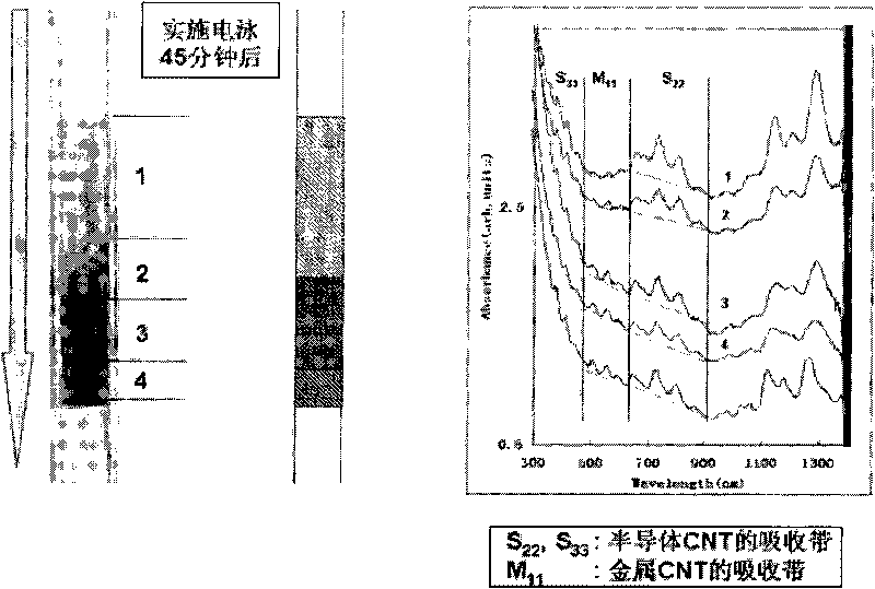 Method for separating metal or semiconductive carbon nanotubes