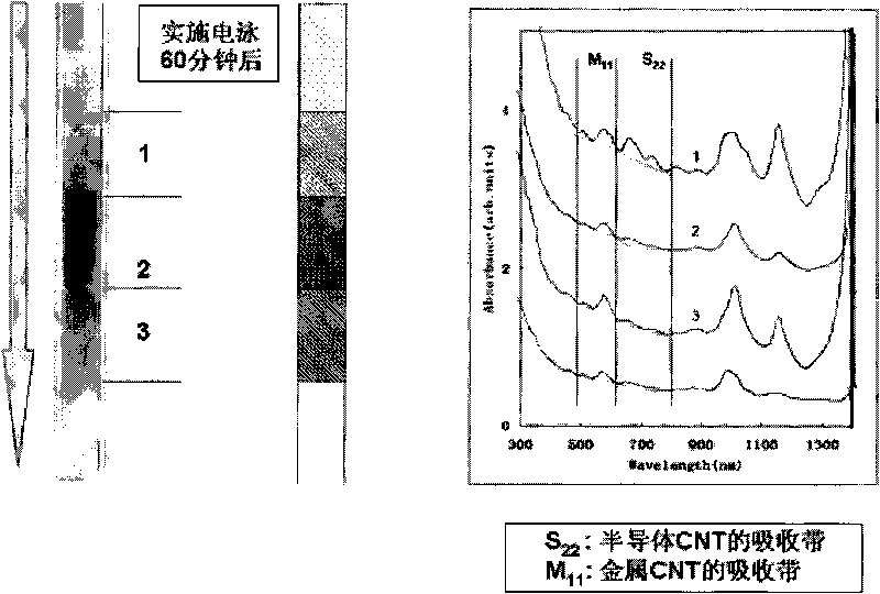 Method for separating metal or semiconductive carbon nanotubes