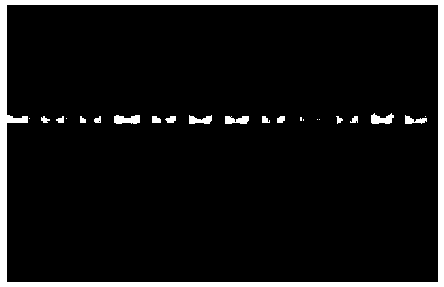 Method for Determination of Pig Gene Polymorphism and Its Correlation with Reproductive Traits of Sow