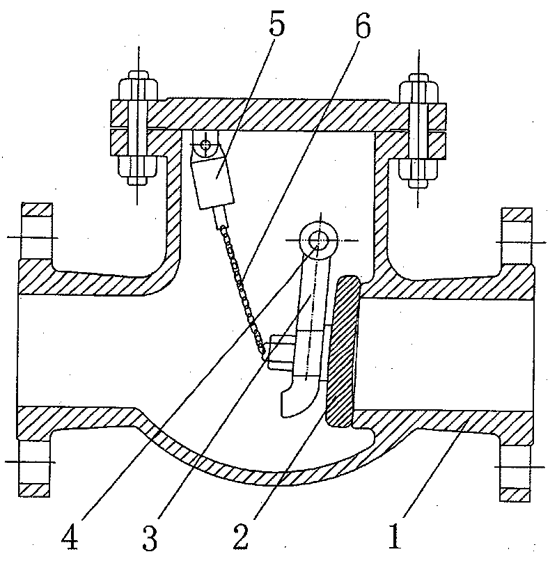 Check valve